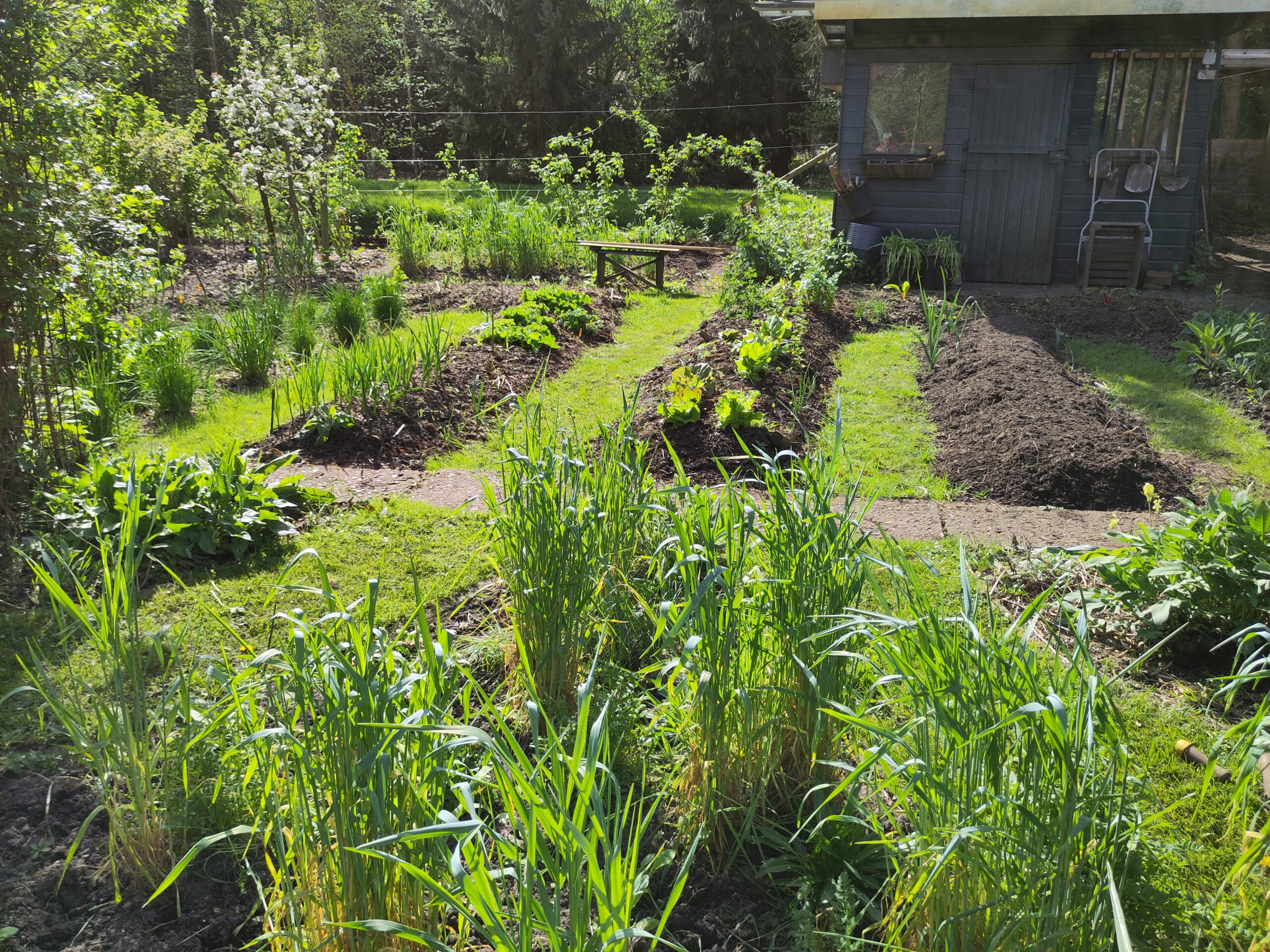 Hügelcultur = permacultuur ruggen