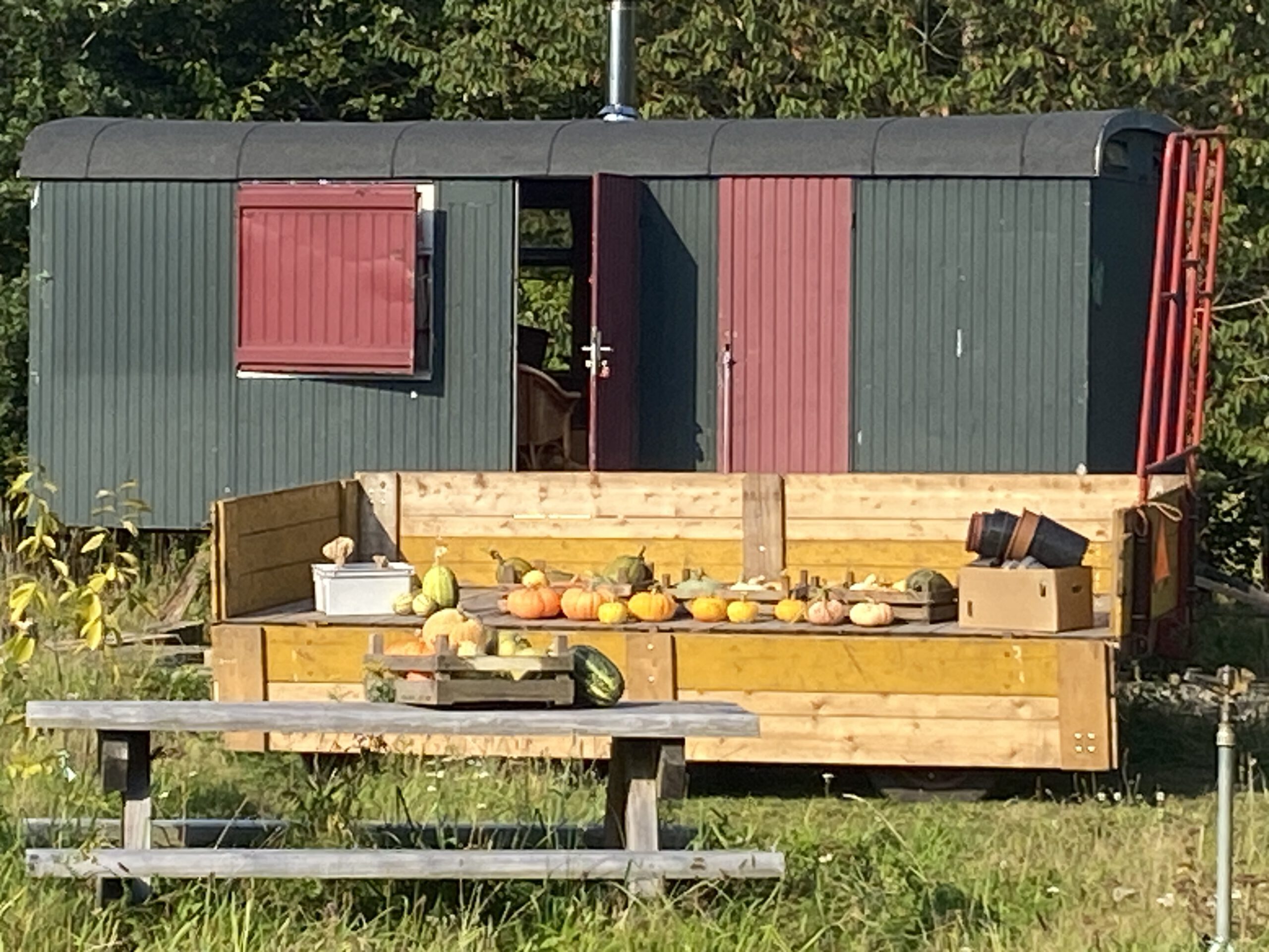 Oogstfeest zaterdag 21 september!