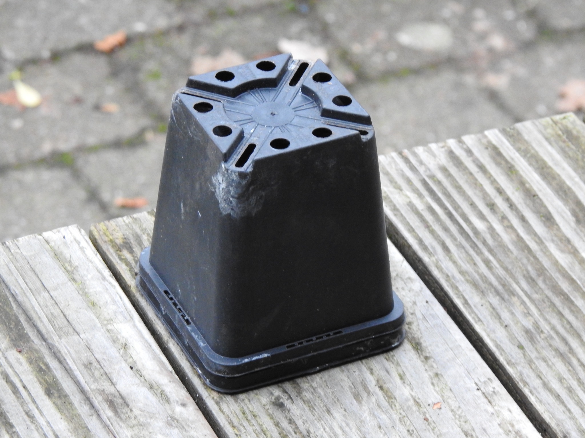 Gratis p9 potjes aangeboden……