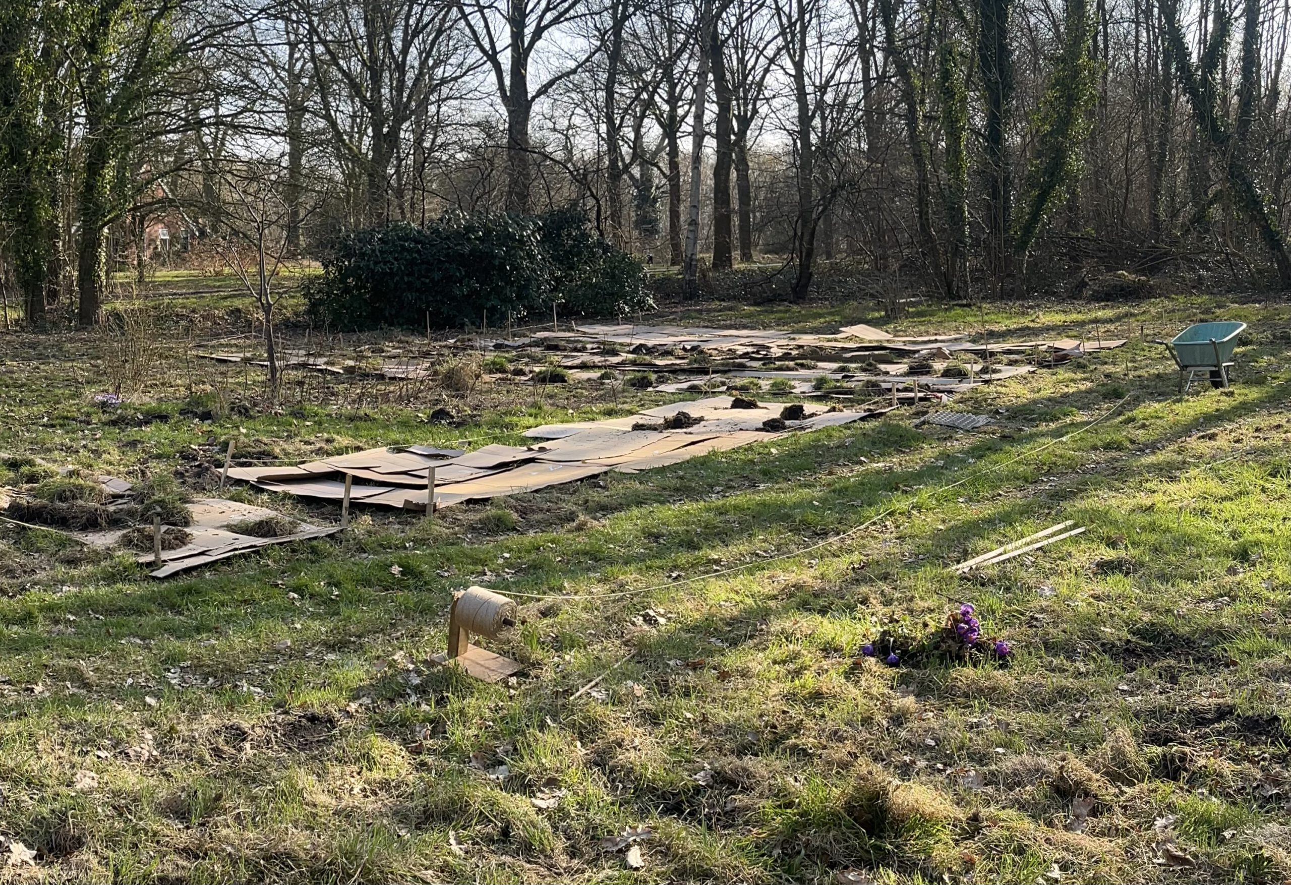Herstart voedseltuin ’t Landje Sellingen 