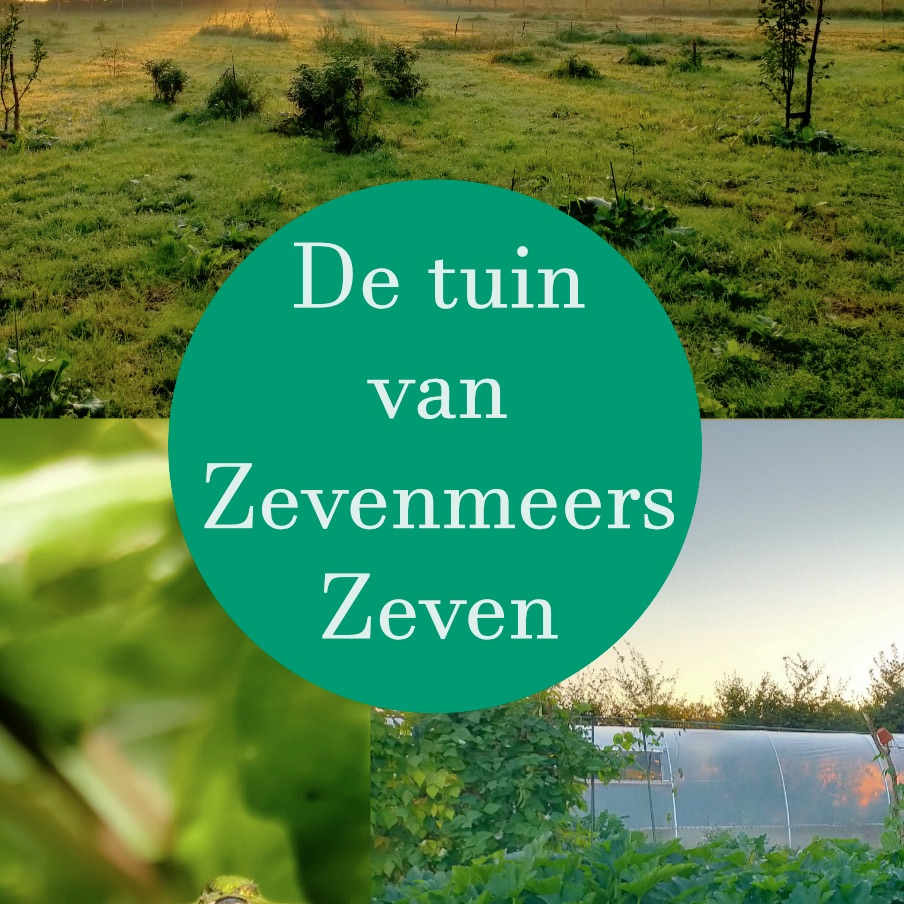 Open tuin zevenmeerszeven 7 en 9 juni