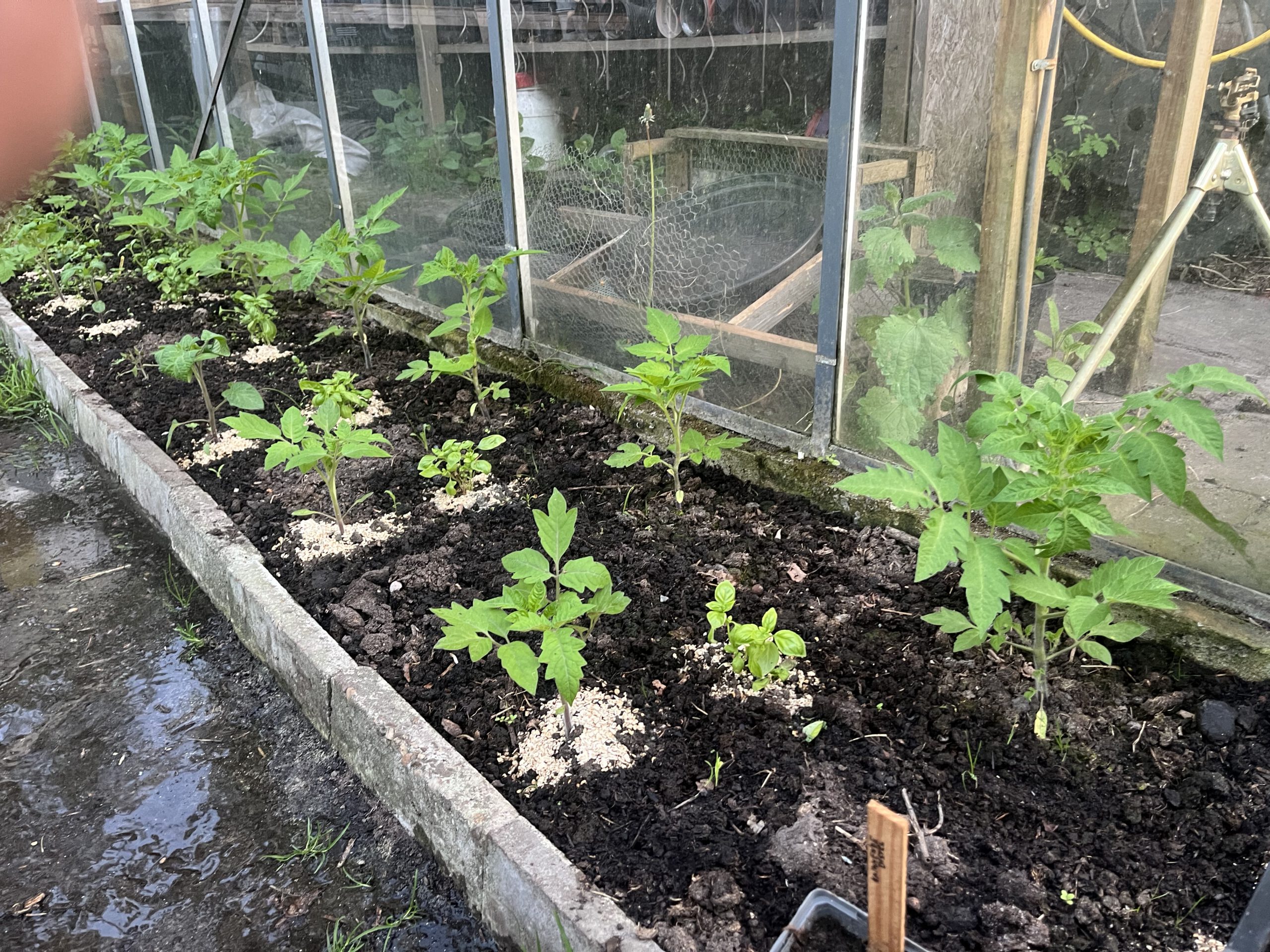 Havermout en slakken