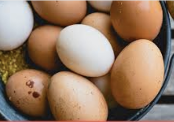 PFAS kippeneieren kaart