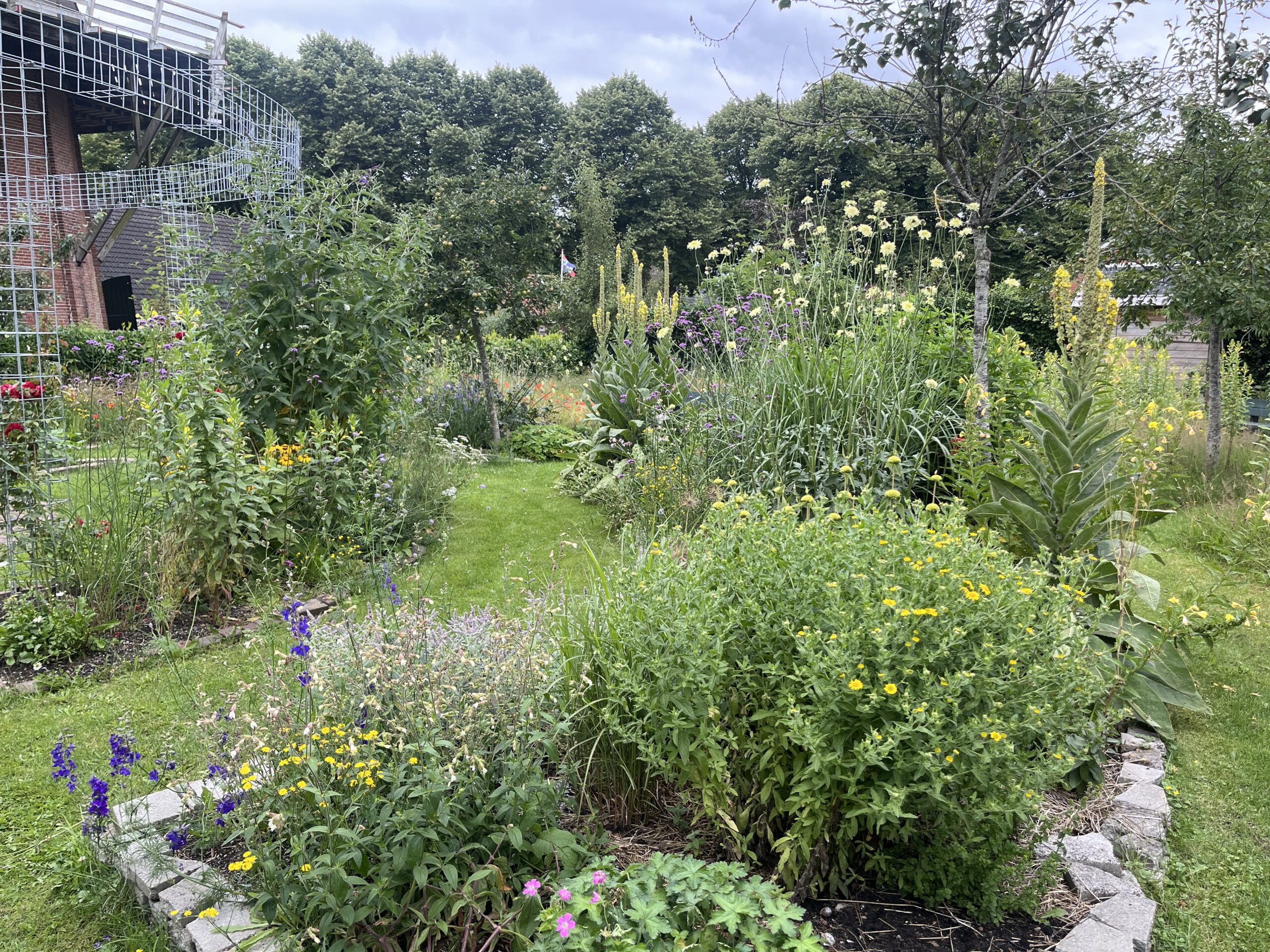 Dorpssiertuin en dorpsschooltuin in Vriescheloo