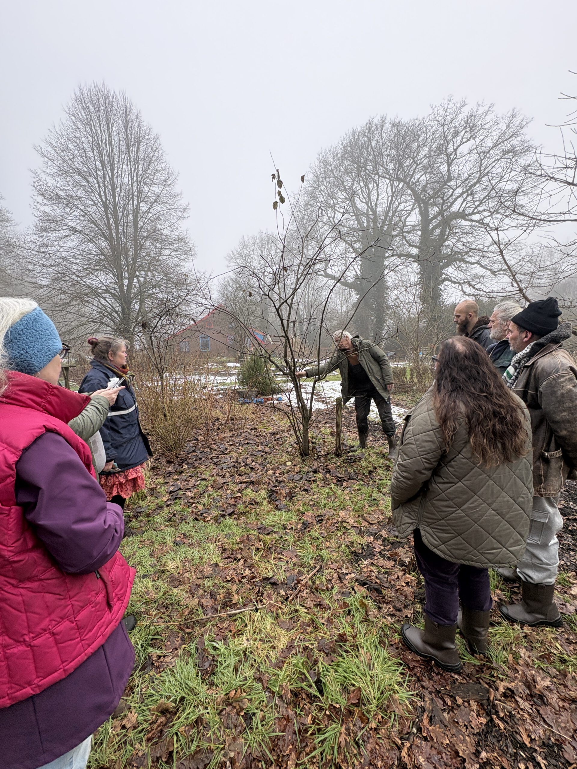 Korte cursus snoeien