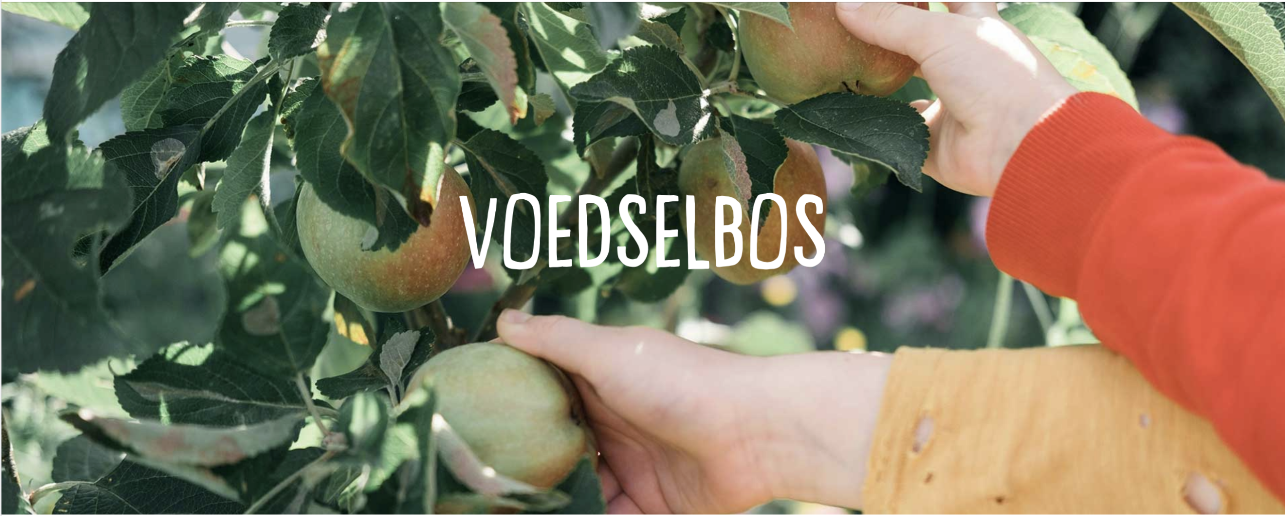 Nieuw groen project: de Vreemde Eend