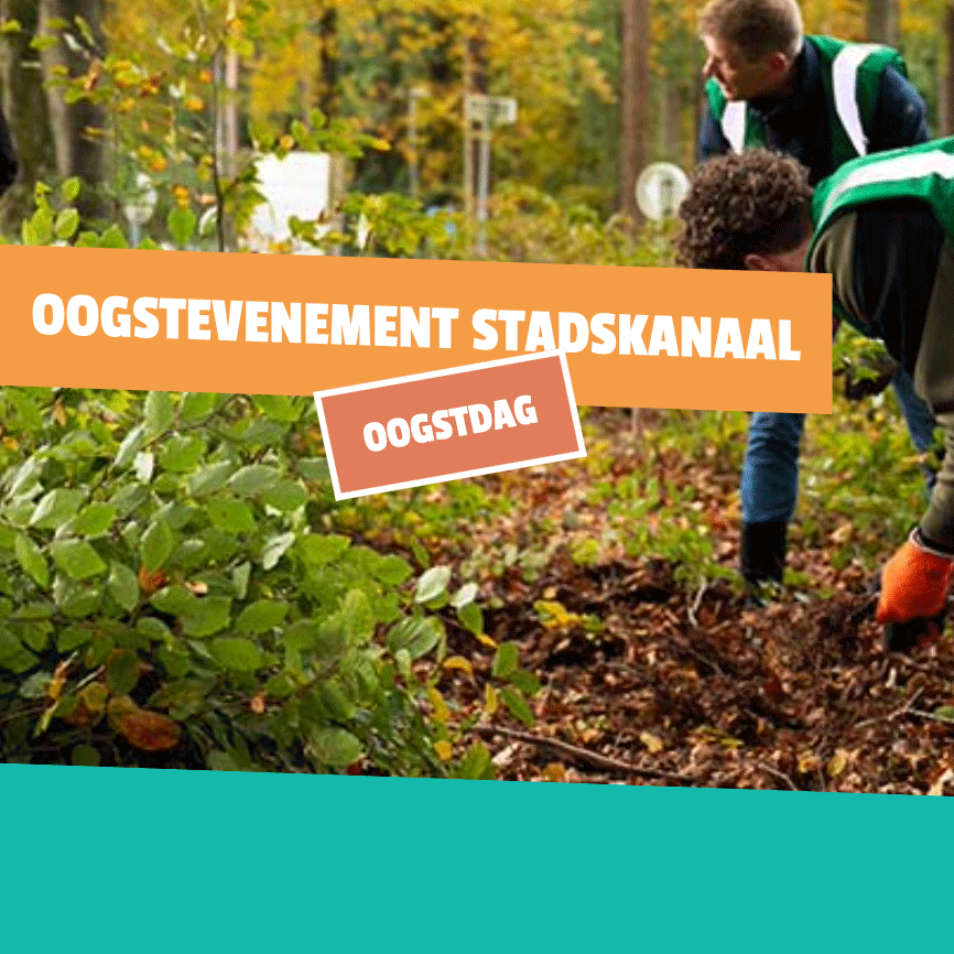 21 feb bomen redden…